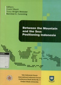 Between the mountain and the sea: positioning Indonesia