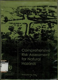 Comprehensive risk assessment for natural hazards