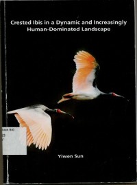 Crested ibis in a dynamic and increasingly human-dominated landscape