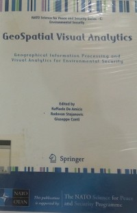 GeoSpatial visual analytics: geographical information processing and visual analytics for environmental security