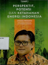 Perspektif, potensi dan ketahanan energi Indonesia