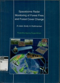 Space borne radar monitoring of forest fires and forest cover change a case study in Kalimantan