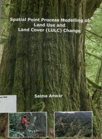 Image of Spatial point process modelling of land use and land cover (LULC) change